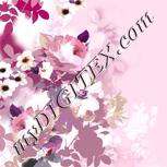 Colour:B
