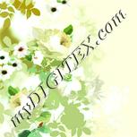 Colour:K