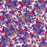 Colour:B