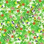 Colour:K