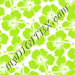 Colour:K