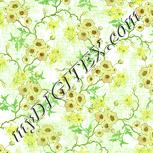 Colour:K
