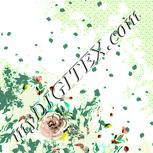 Colour:K