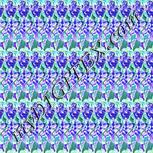 Colour:F