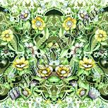 Colour:K