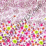 Colour:B