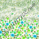 Colour:D