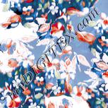 Colour:A