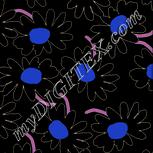 Colour:F