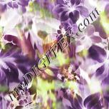 Colour:F