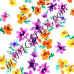 Colour:A