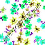 Colour:C