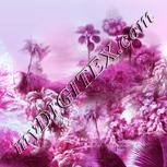 Colour:C