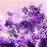 Colour:D