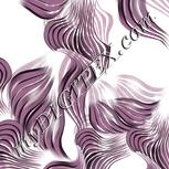 Colour:B