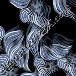 Colour:F