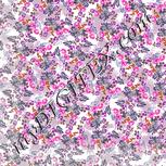 Colour:B