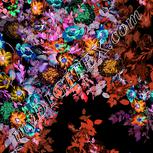 Colour:F