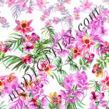 Colour:A