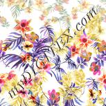 Colour:B