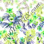 Colour:C