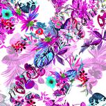 Colour:C