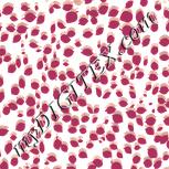Colour:J