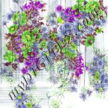 Colour:D