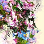 Colour:A