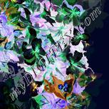 Colour:F