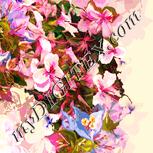 Colour:J