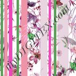 Colour:B