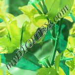 Colour:K