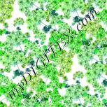 Colour:C
