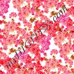 Colour:J