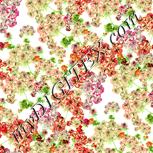 Colour:K