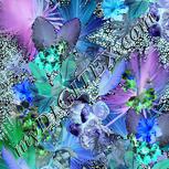 Colour:F