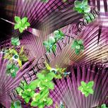 Colour:D