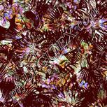 Colour:A