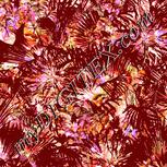 Colour:J