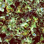 Colour:K