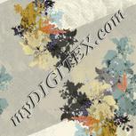 Colour:A