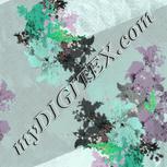 Colour:C