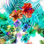 Colour:B