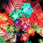 Colour:F
