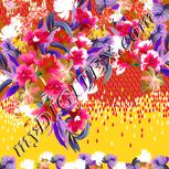 Colour:B
