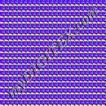 Colour:F