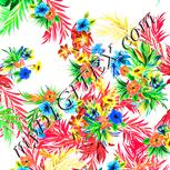 Colour:A