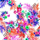 Colour:B