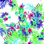 Colour:C